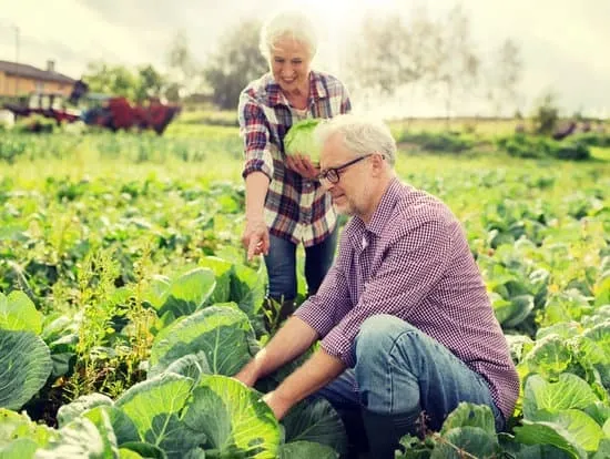 an older couple tending to their garden